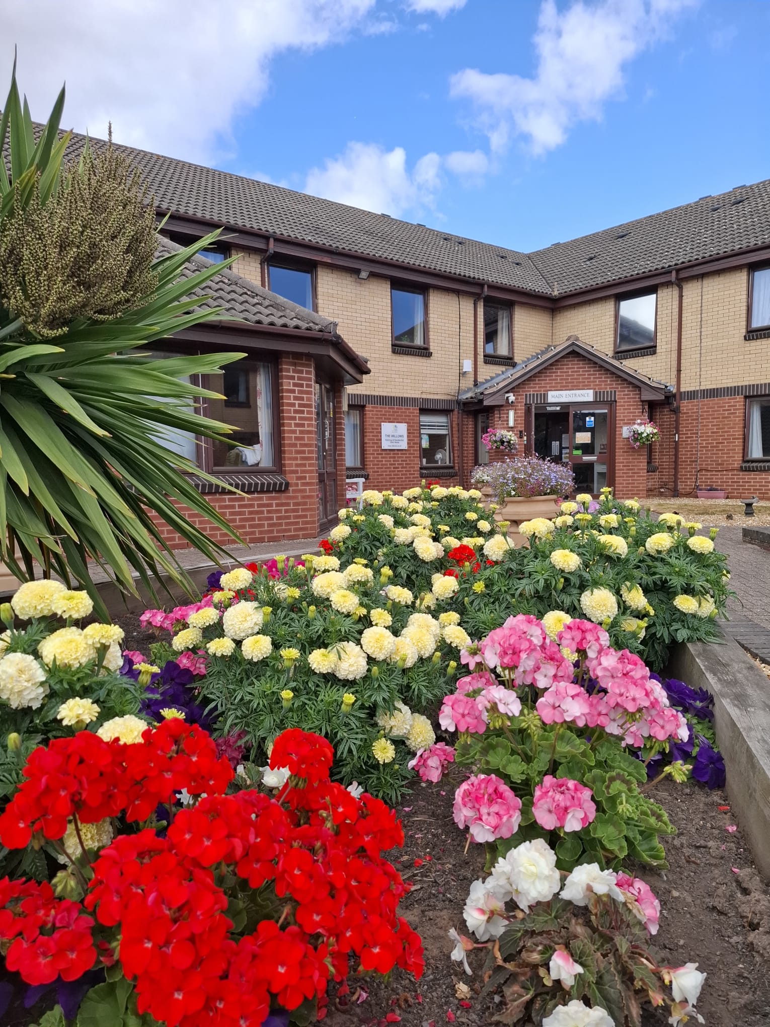 Featured Image for The Willows Care Home